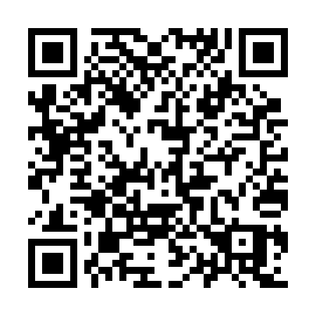 QR code for 917 RAQ