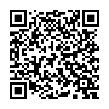 QR code for plate 917 OVT