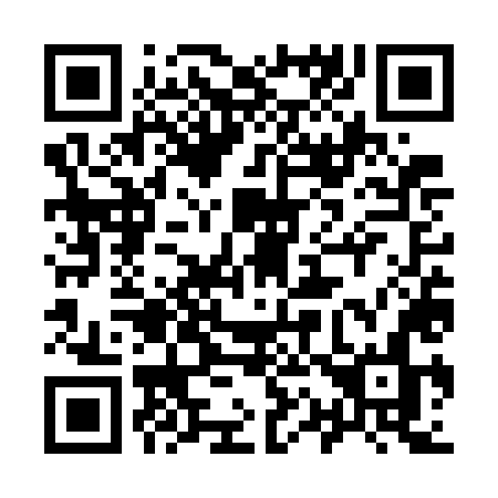 QR code for plate 917 WLN