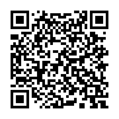 QR code for 919 0HS