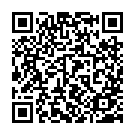 QR code for 919 3LU