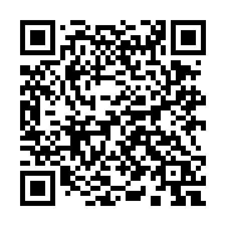 QR code for 919 DBR