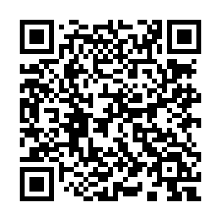 QR code for 919 LDL