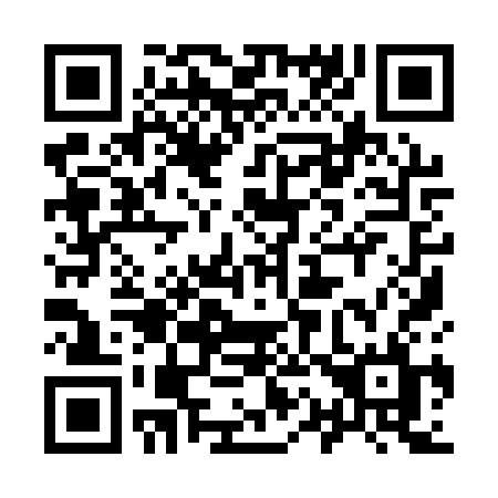 QR code for plate 919 1SL