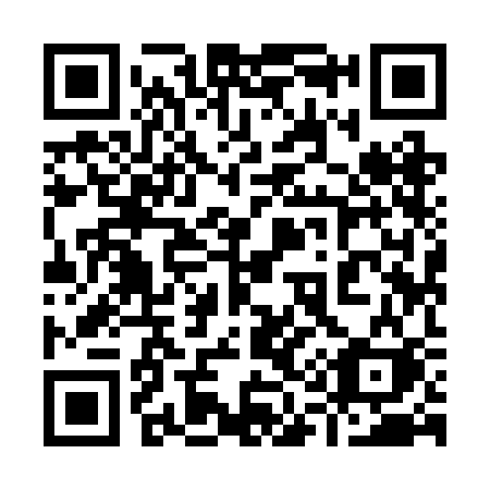 QR code for plate 919 2CK