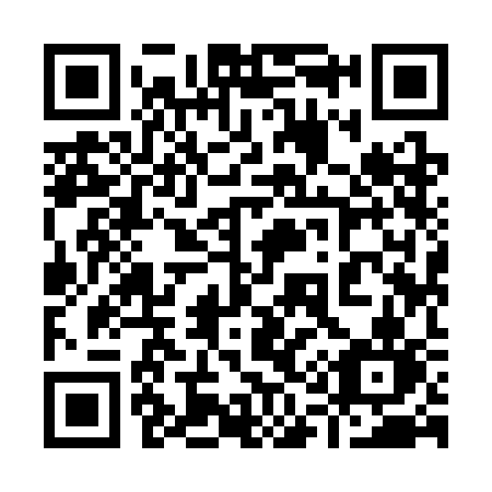 QR code for plate 919 3CN