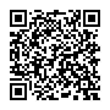 QR code for plate 919 5HM