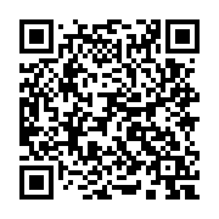 QR code for 9195QS