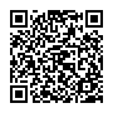 QR code for plate 919 AMT