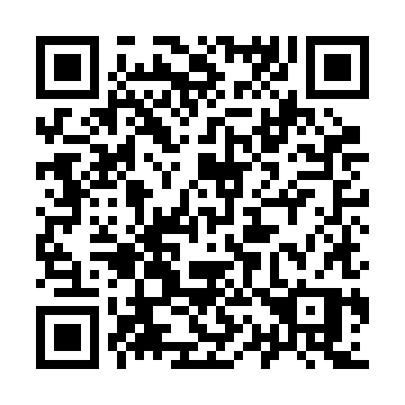 QR code for plate 919 BHP
