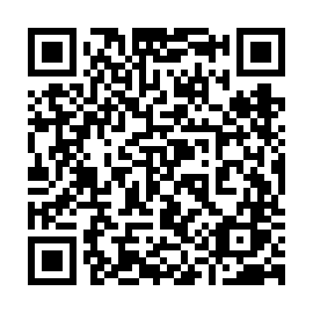 QR code for 919FNS