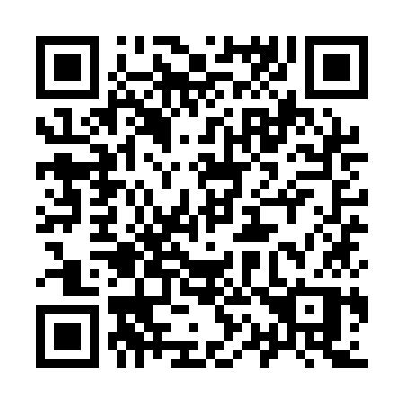 QR code for plate 919 QKP
