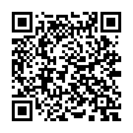 QR code for plate 919 REC