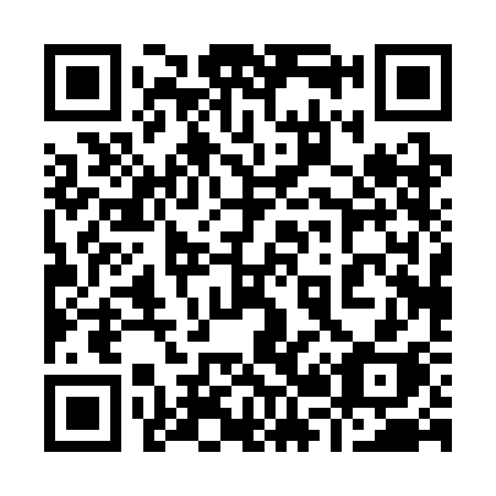 QR code for plate 920 3CH