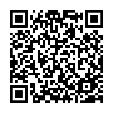 QR code for 924 PPD