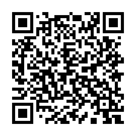QR code for 9295XJ