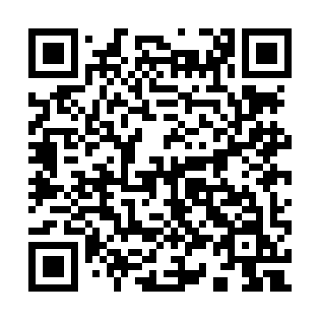 QR code for plate 931 LIN