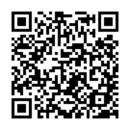 QR code for 9335LI
