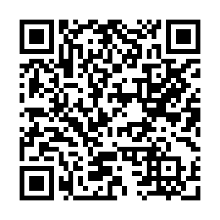 QR code for plate 938 8MP