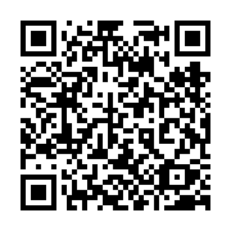 QR code for 938FCY
