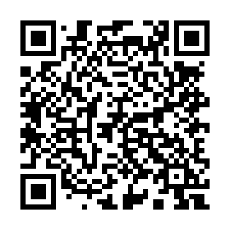 QR code for plate 938 LXI