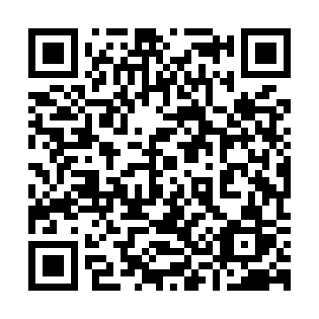 QR code for plate 938 MSR