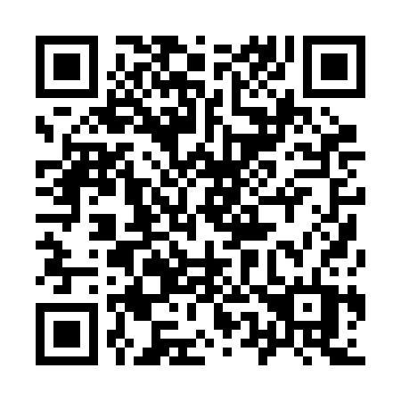 QR code for 950 2CT
