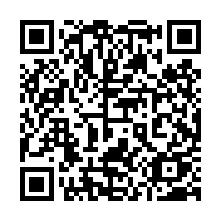 QR code for 950 DQU