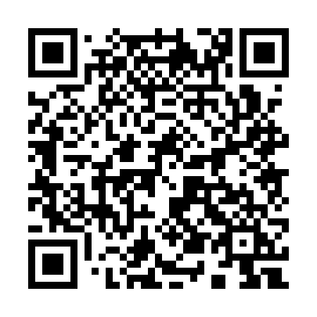 QR code for 9501VI