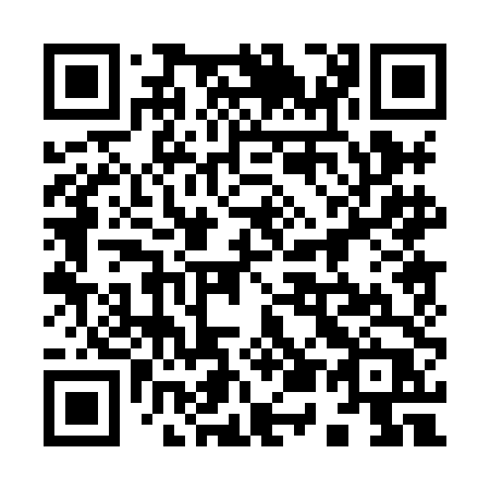 QR code for 9508DP