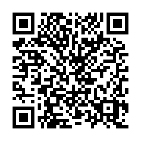 QR code for 950XIX