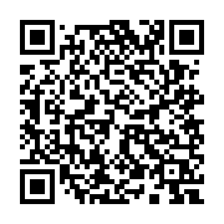 QR code for 9525MP