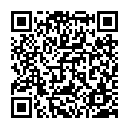 QR code for plate 953 2SV