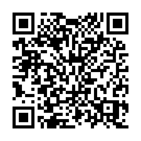 QR code for plate 953 ISS