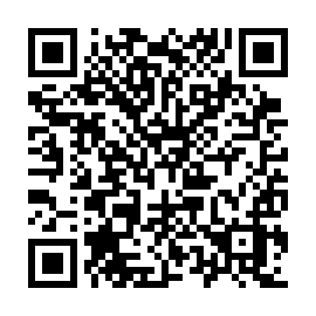 QR code for 953SIZ