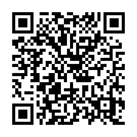 QR code for 954 LZZ