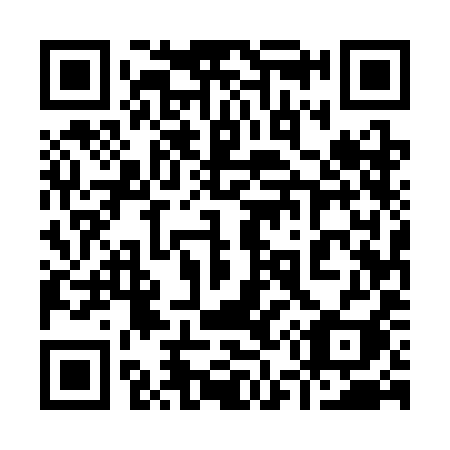 QR code for 955 3II
