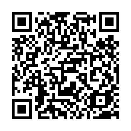 QR code for 955 DIA