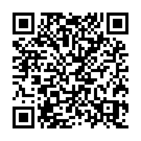QR code for 955 IFS