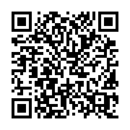 QR code for 9553IB