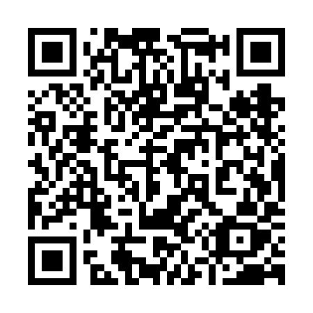 QR code for plate 955 VIZ