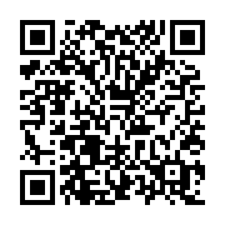 QR code for plate 955 XDD