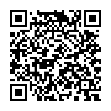 QR code for 956 DQS