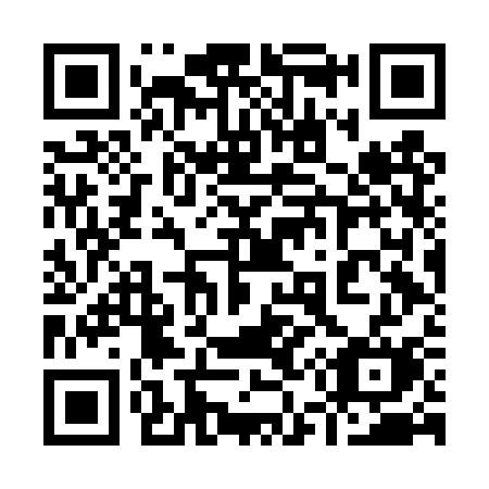 QR code for 956DSM