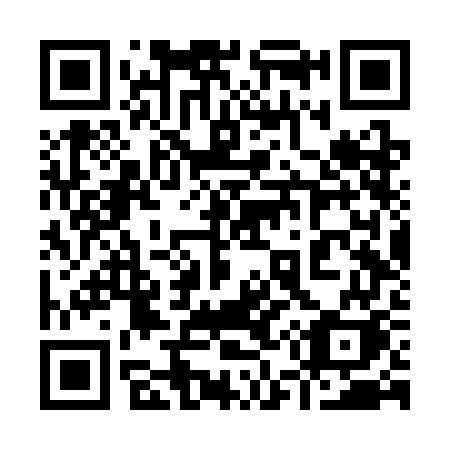 QR code for plate 956 SGK