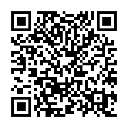 QR code for plate 957 QZI