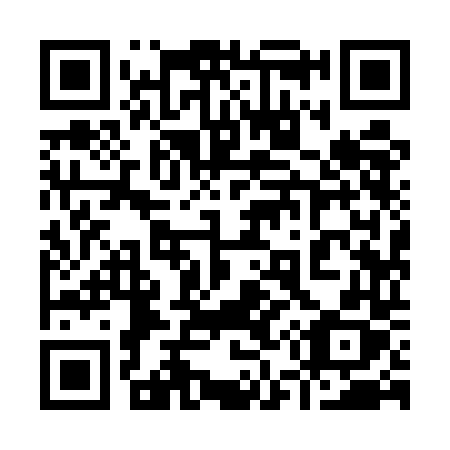 QR code for 9595DX