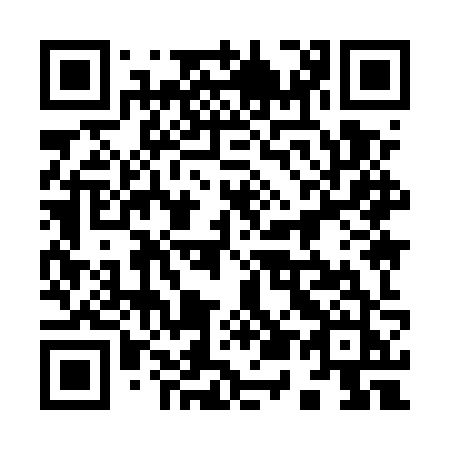 QR code for 9595ZJ