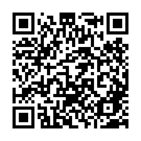 QR code for 960 DLG