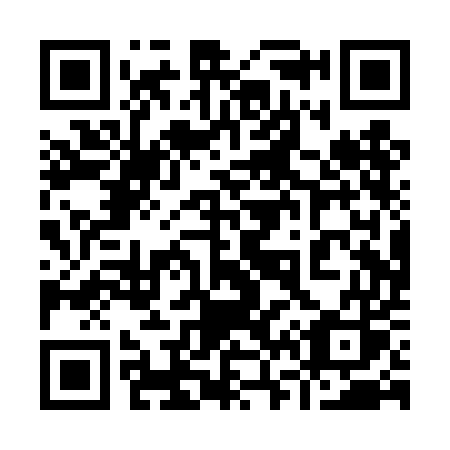 QR code for plate 960 TES